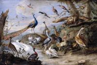 Kessel, Jan van - Birds on a Riverbank